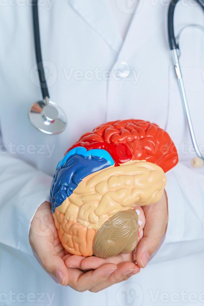 doctor holding human Brain model. World Brain Tumor day, Brain Stroke, Dementia, alzheimer, parkinson and world mental health concept photo