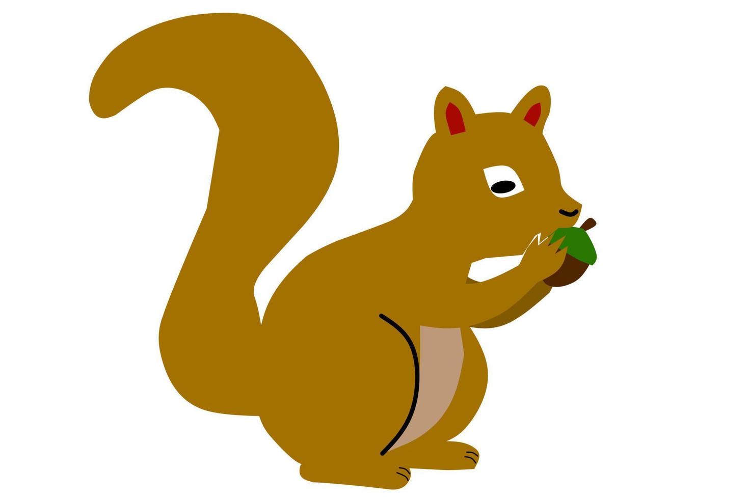 Cute squirrel isolated on white background. Vector illustration.