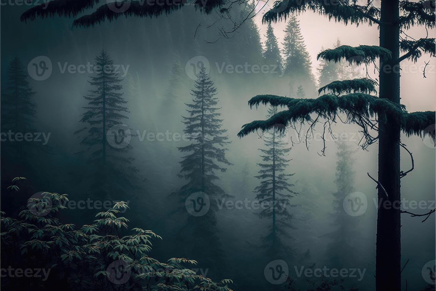 Foggy Forest. aesthetic photo