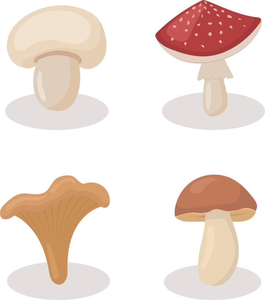 Set of different mushrooms. Cartoon, flat style illustration. vector