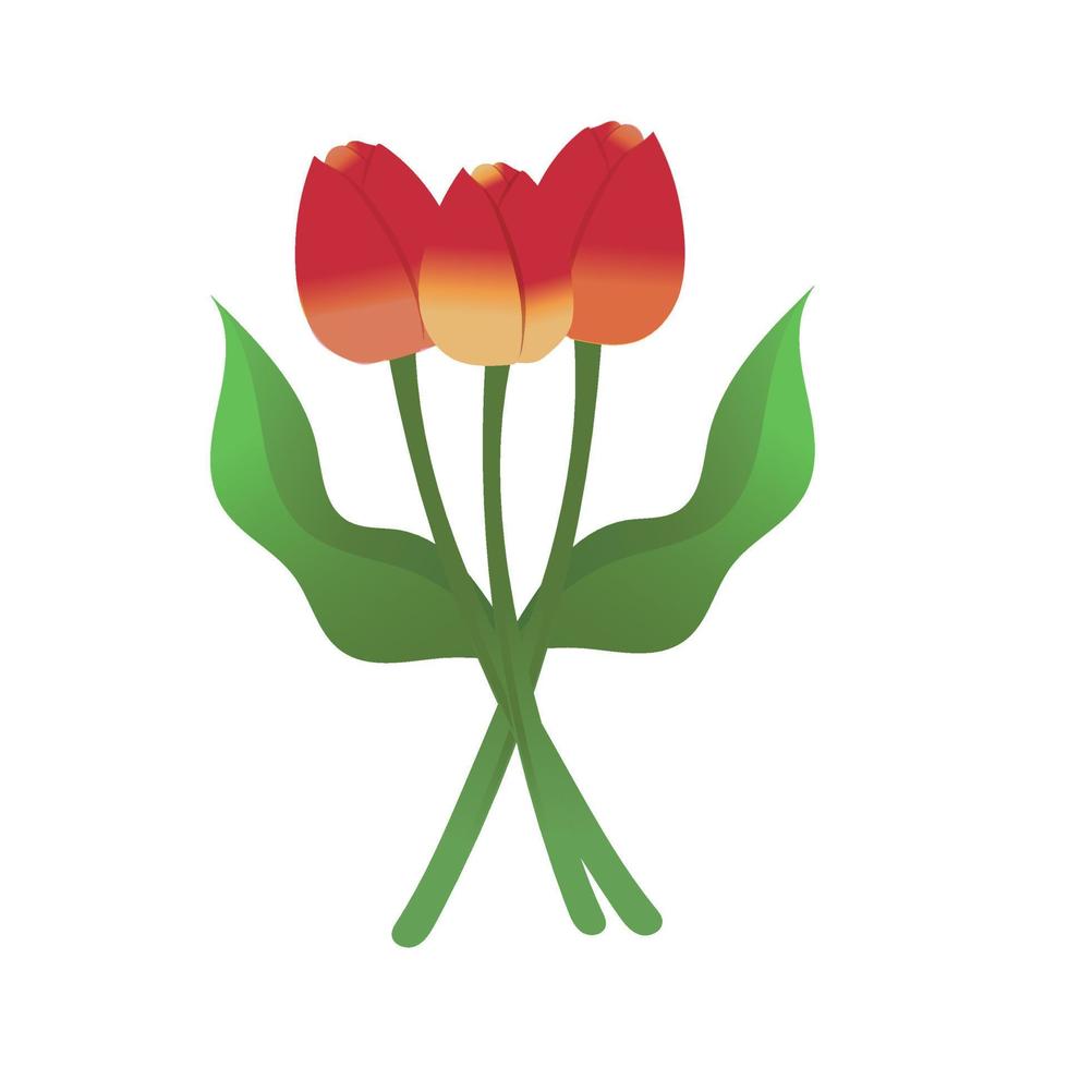 Spring concept. Flat cartoon illustration of spring coming with tulipas vector
