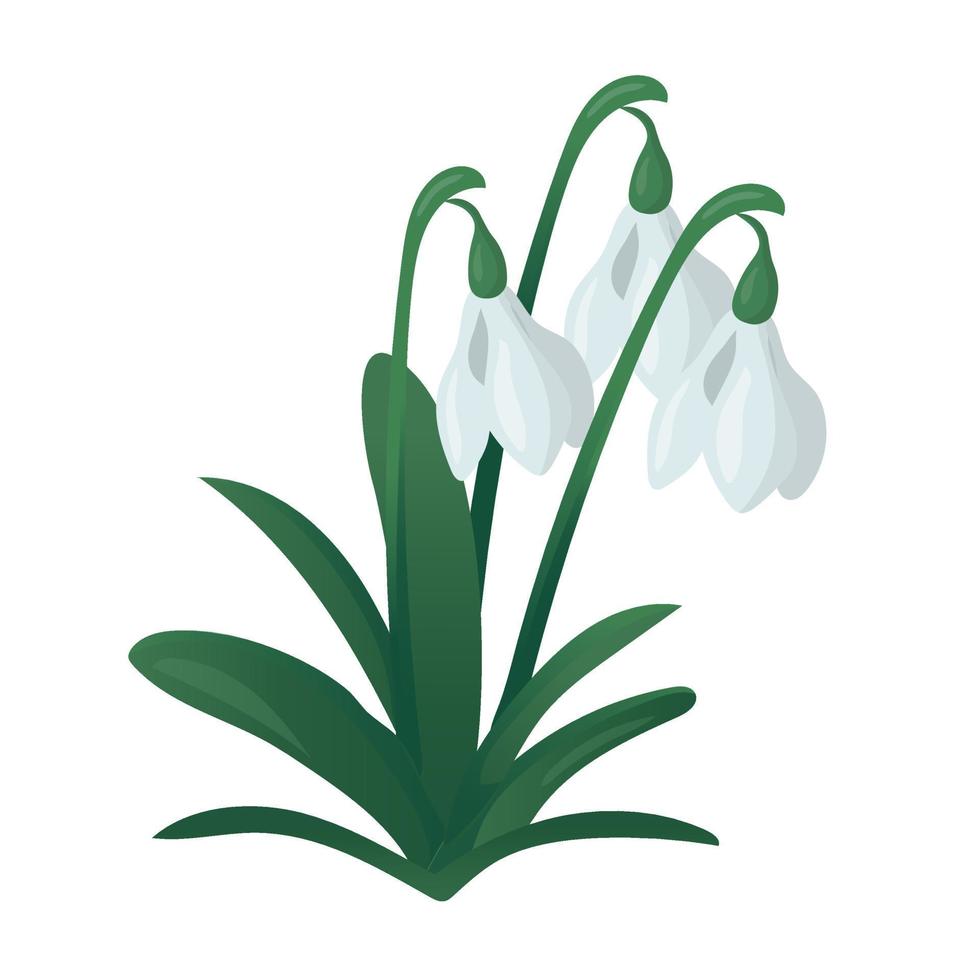 Spring concept. Flat cartoon illustration of spring coming with snowdrops vector