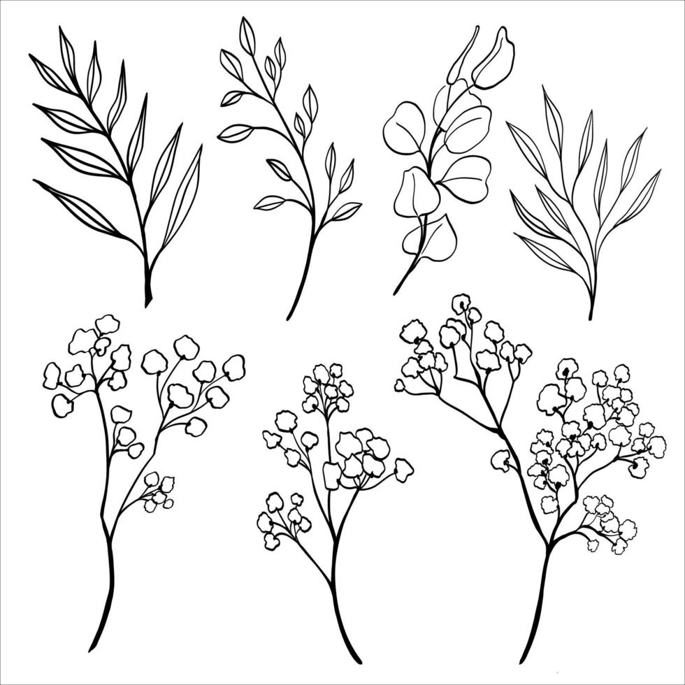 Vector hand drawn set of various silhouette branches with leaves and gypsophila branch on the white background. Floral vector illustration. Great for your wedding designs.