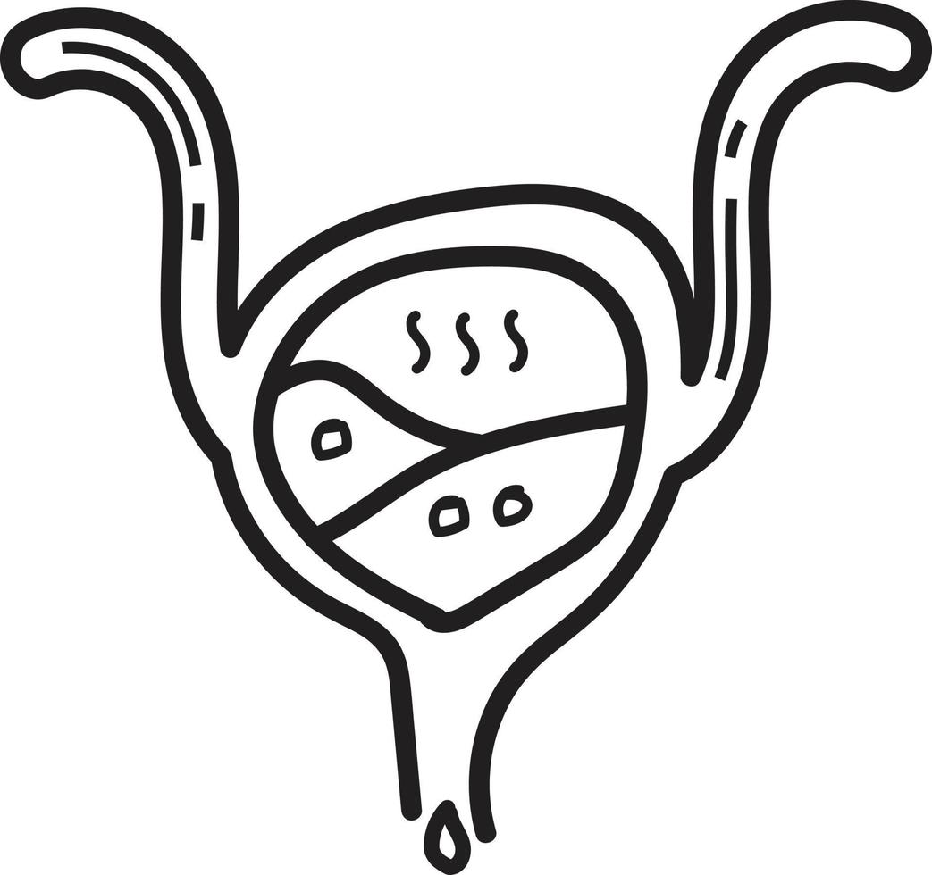 Doodle bladder icon outline vector