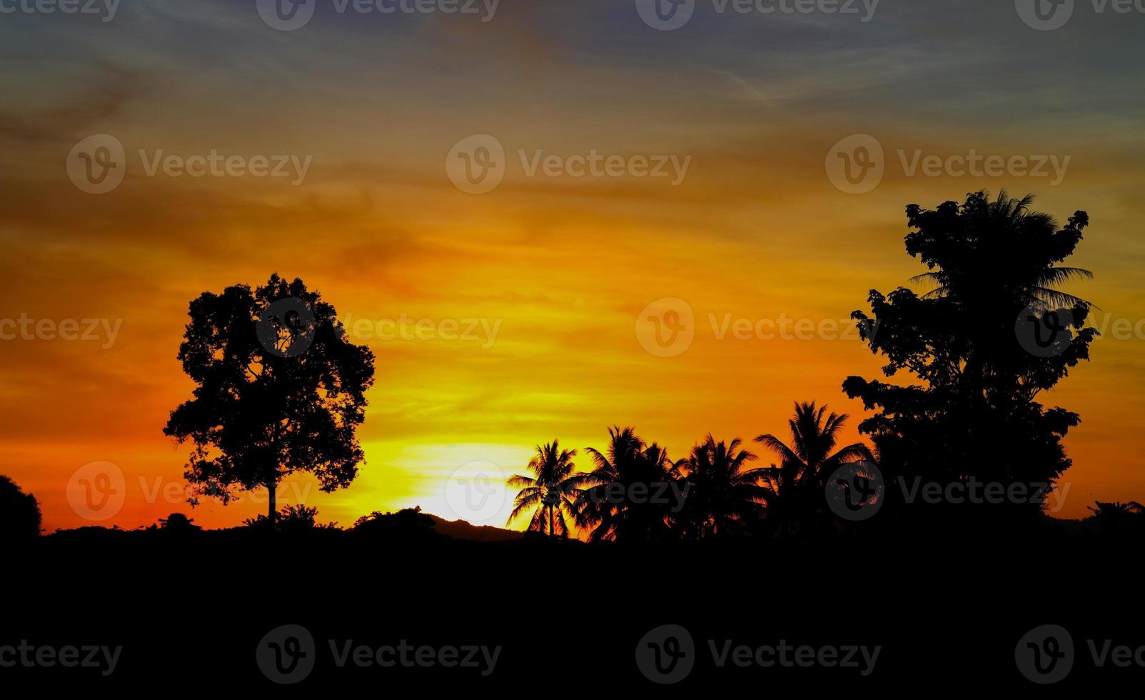 sunset beautiful colorful landscape and silhouette tree in sky twilight time photo