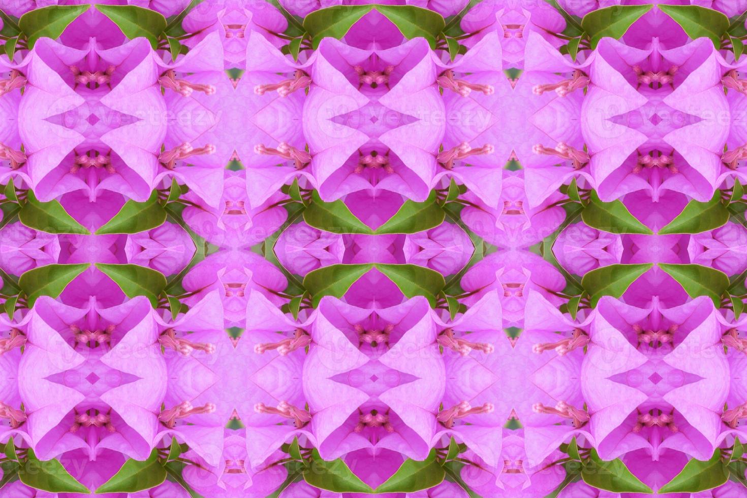 flower beautiful  seamless pattern  abstract simple background photo