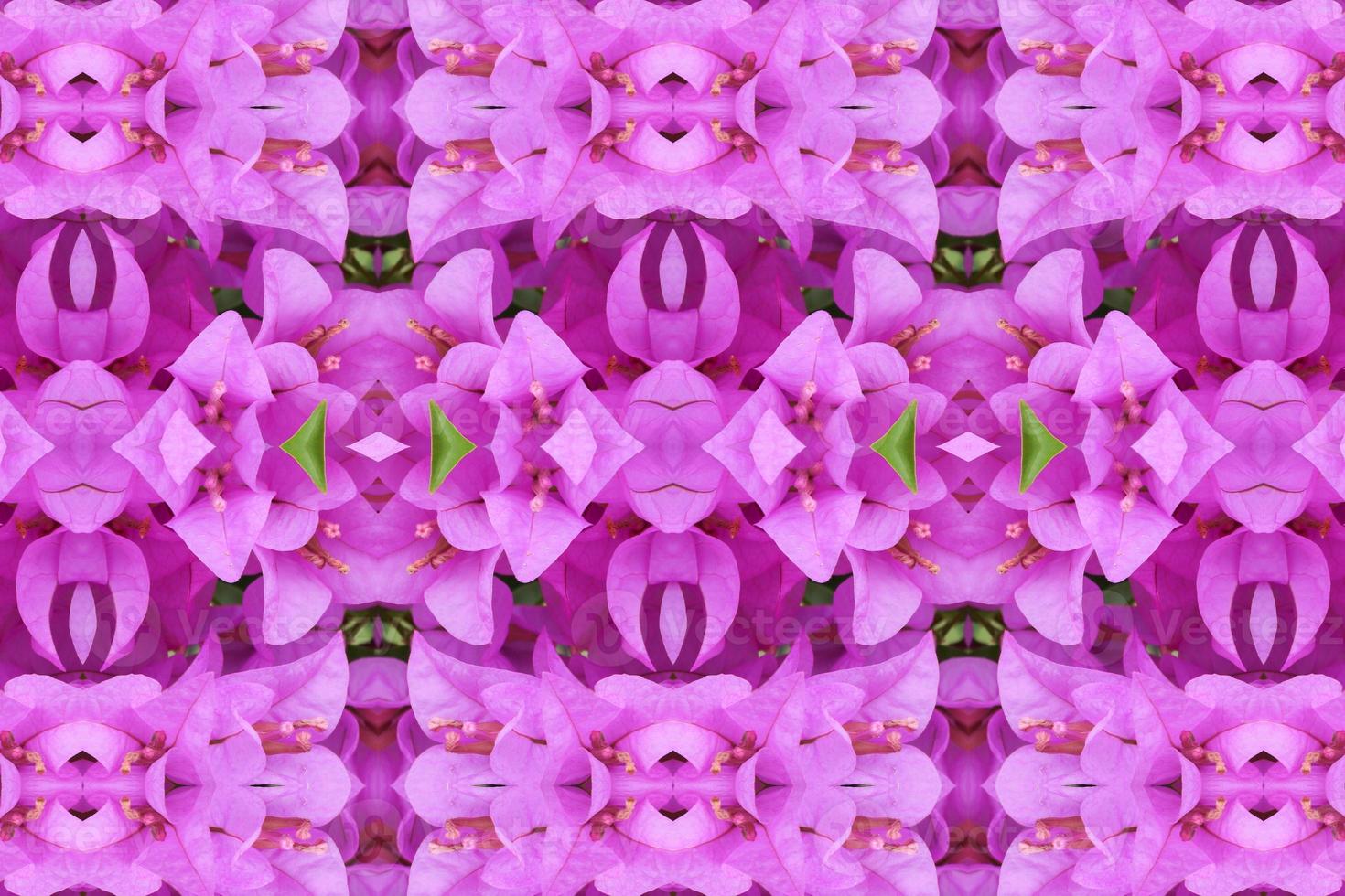 flower beautiful  seamless pattern  abstract simple background photo