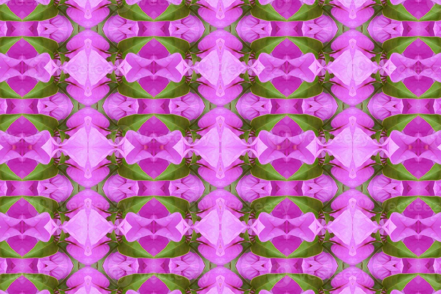 flower beautiful  seamless pattern  abstract simple background photo