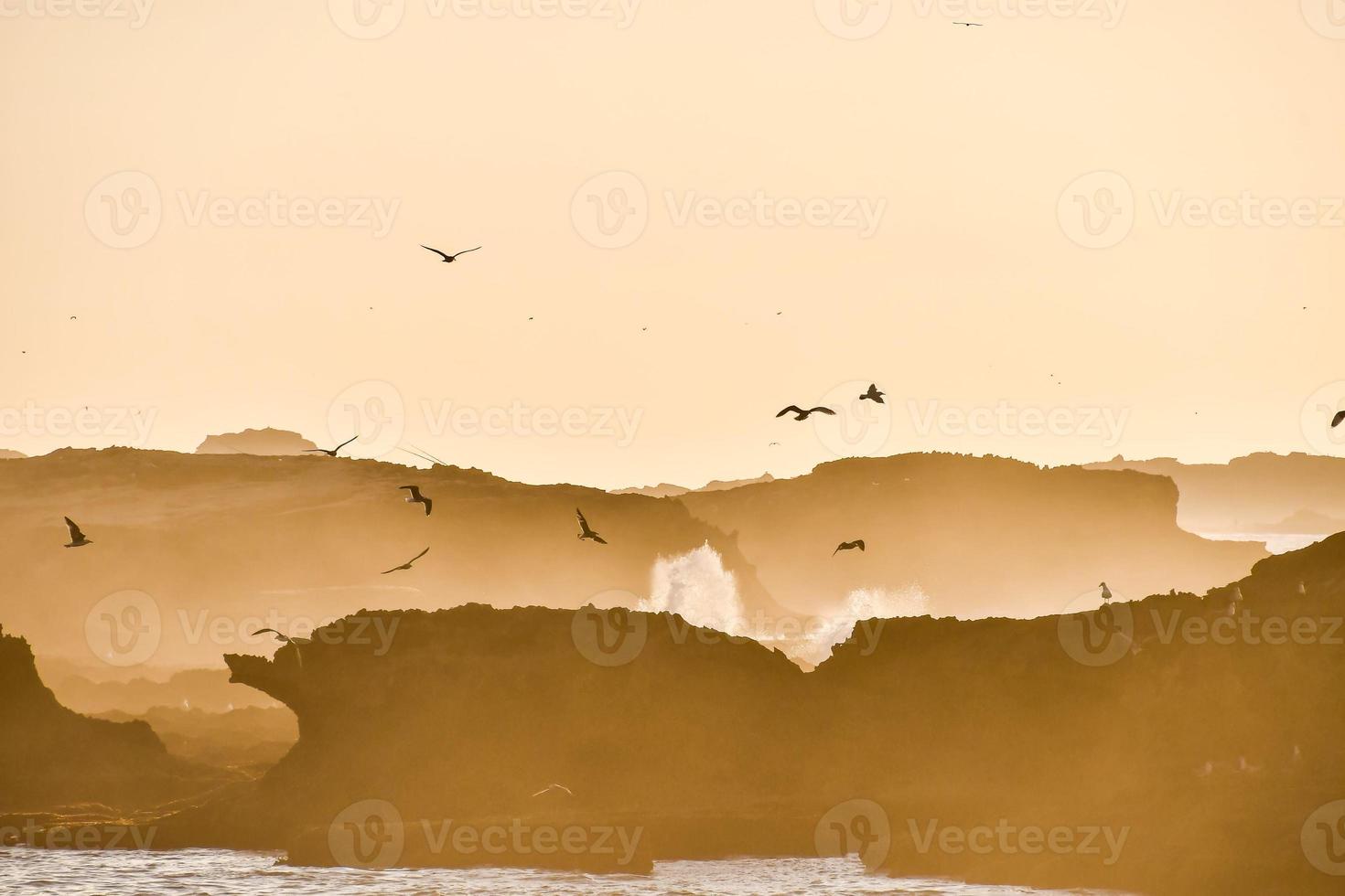 Scenic coastal view photo