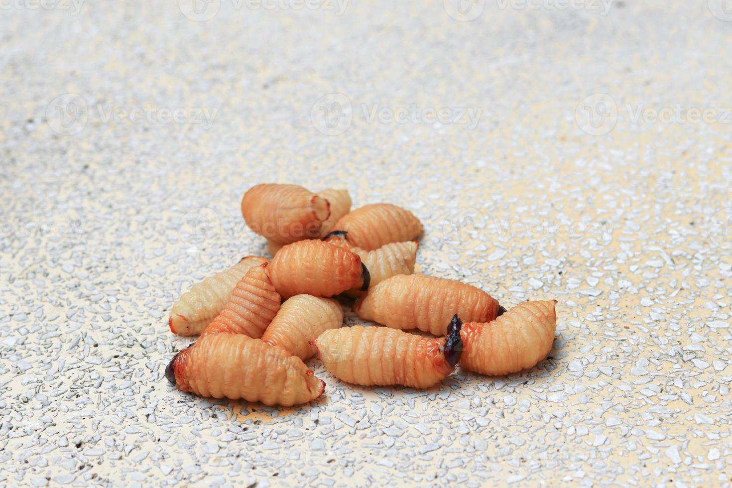 Sago beetle or worm palm weevil red  motion on table polished stone Rhynchophorus ferrugineus Popular food larva Southern Thailand photo