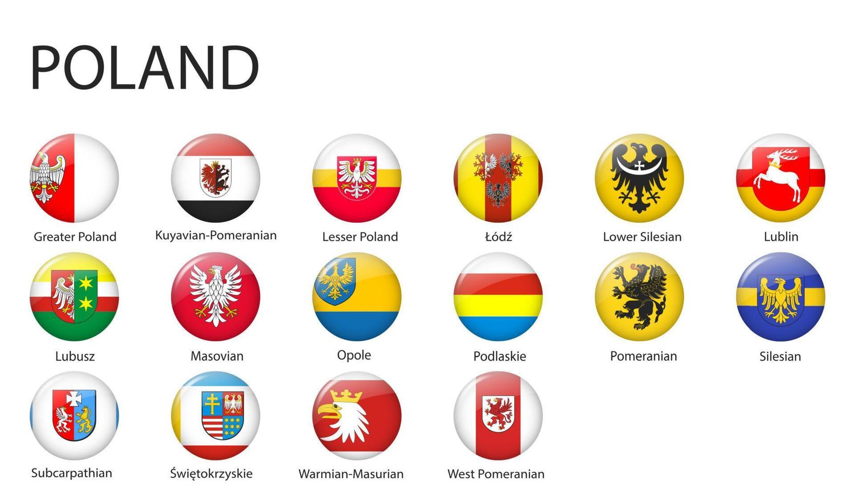 all Flags of regions of Poland template for your design vector