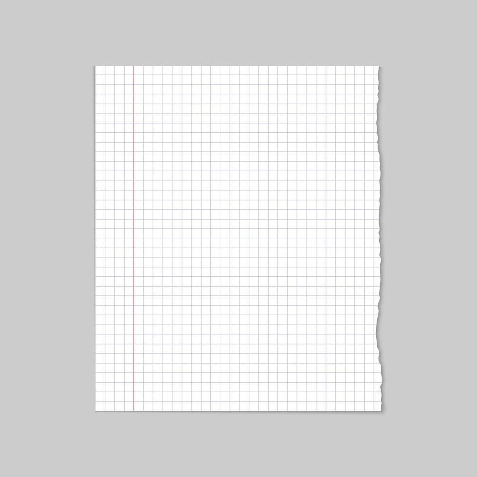 Ripped blank white line school paper, vector