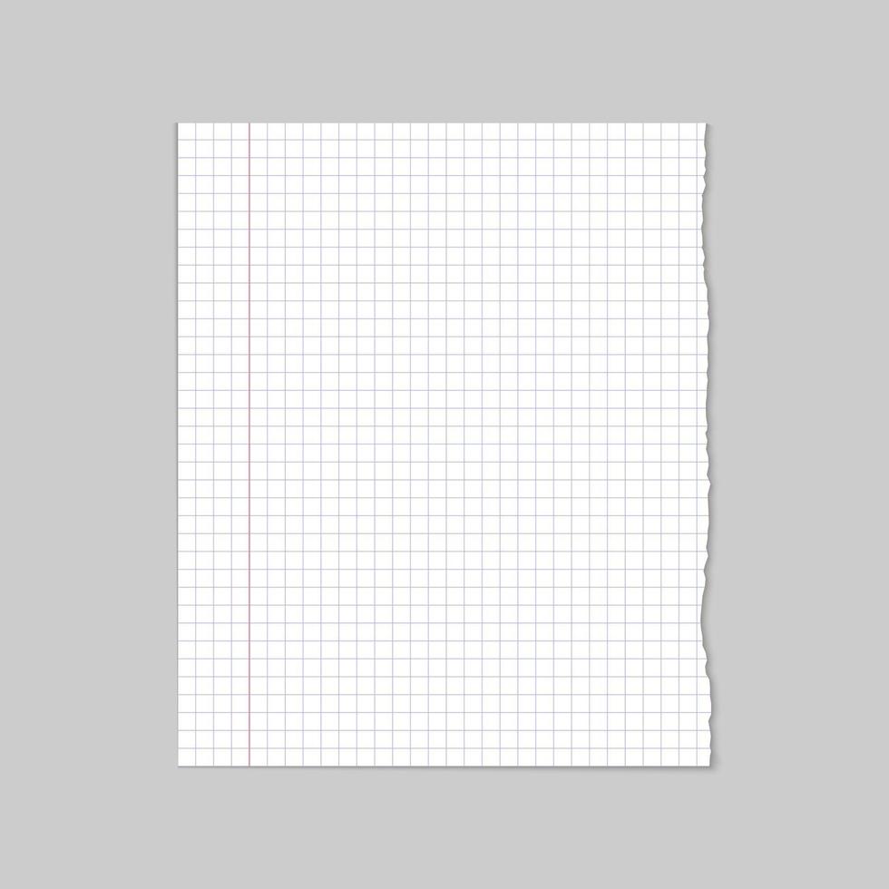 rasgado blanco blanco línea colegio papel, vector