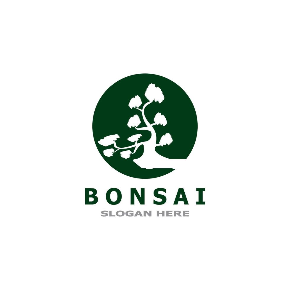 bonsai árbol planta vector logo ilustración
