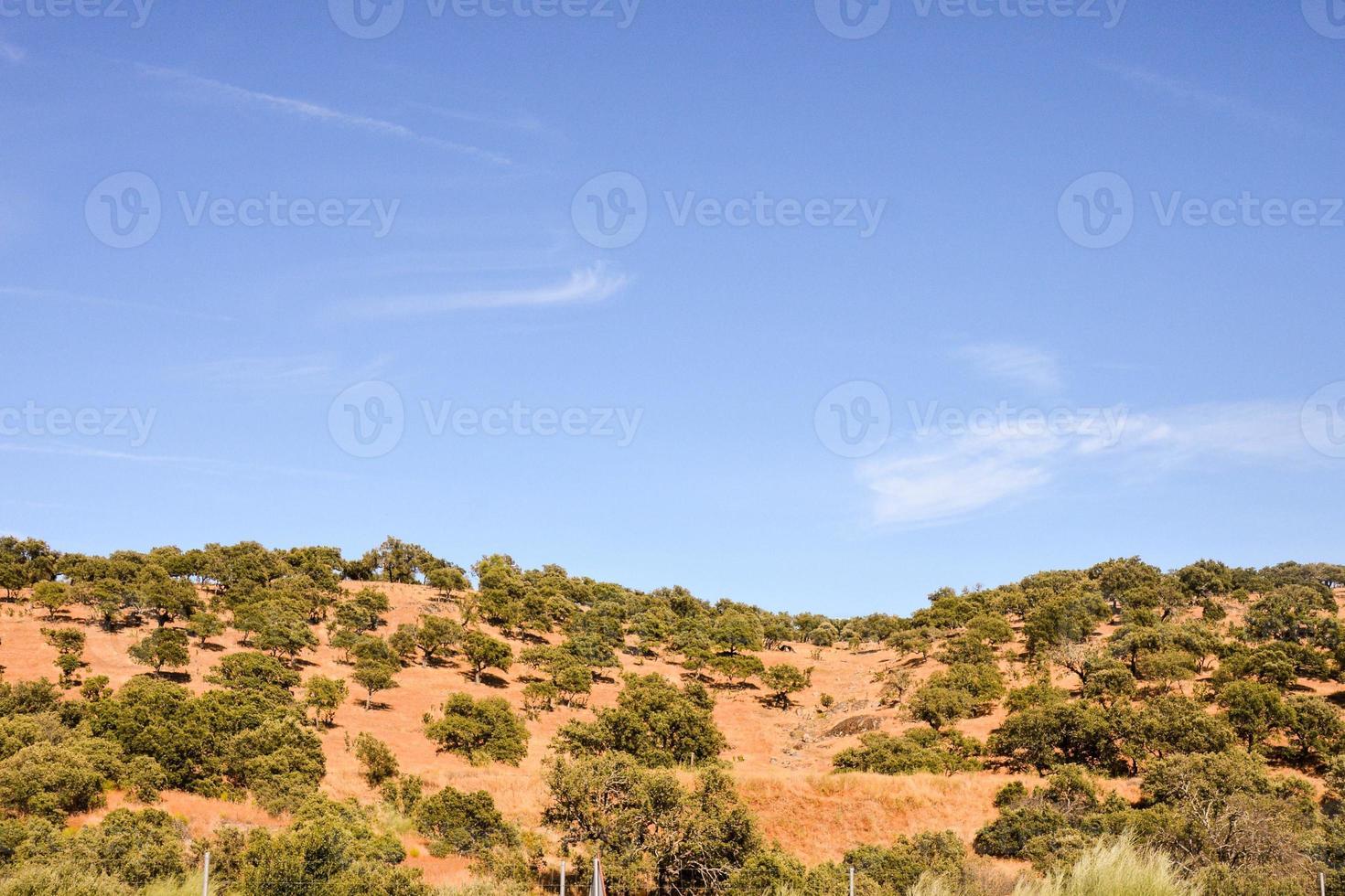 Scenic rural landscape photo