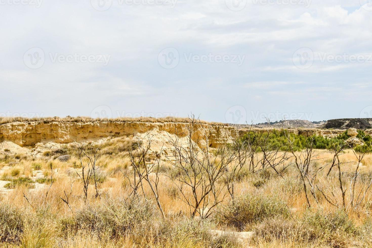 Scenic rural landscape photo