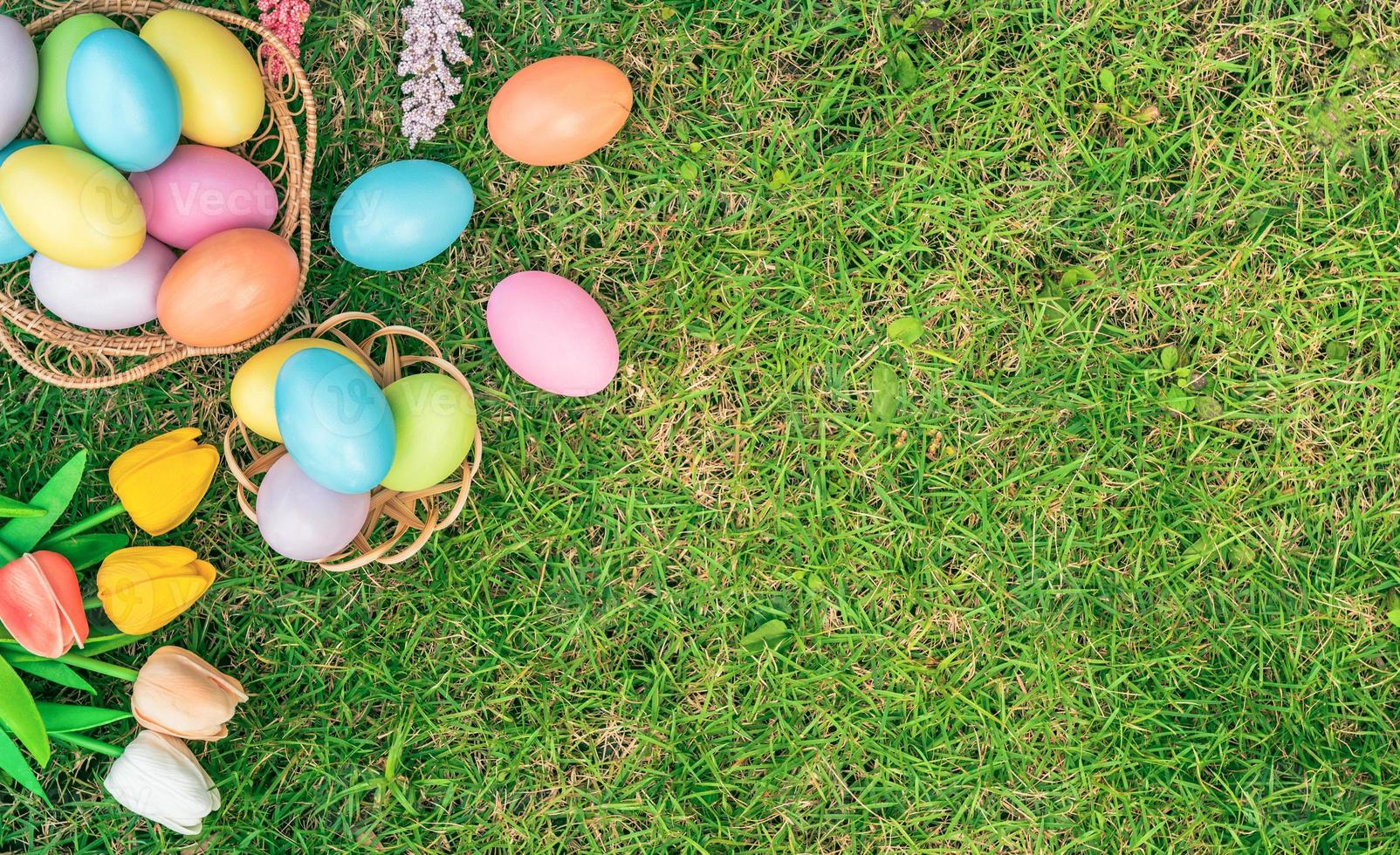 Happy Easter holiday greeting card concept. Colorful Easter Eggs and spring flowers on green grasses background. Flat lay, top view, copy space. photo