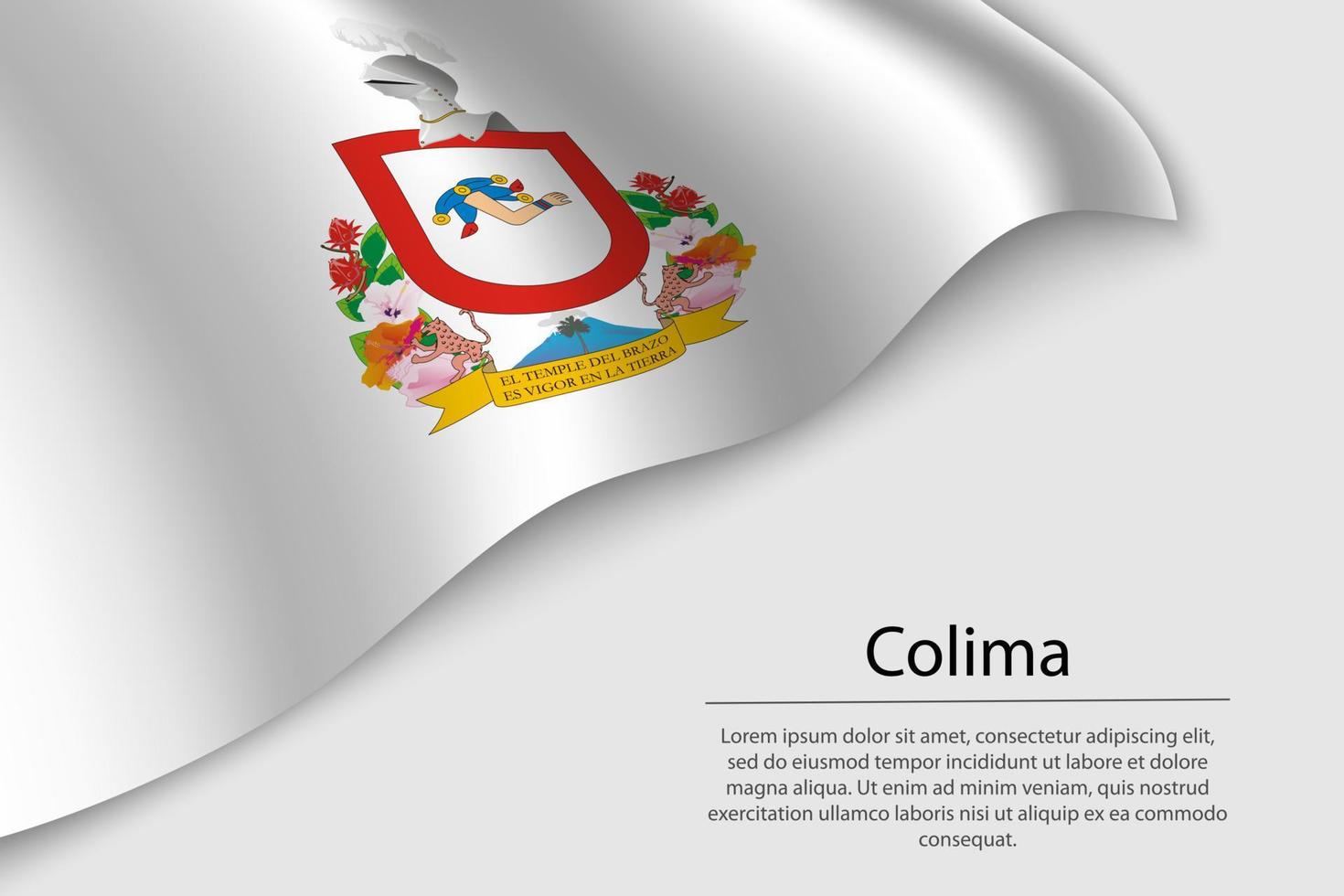 Wave flag of Colima is a region of Mexico vector