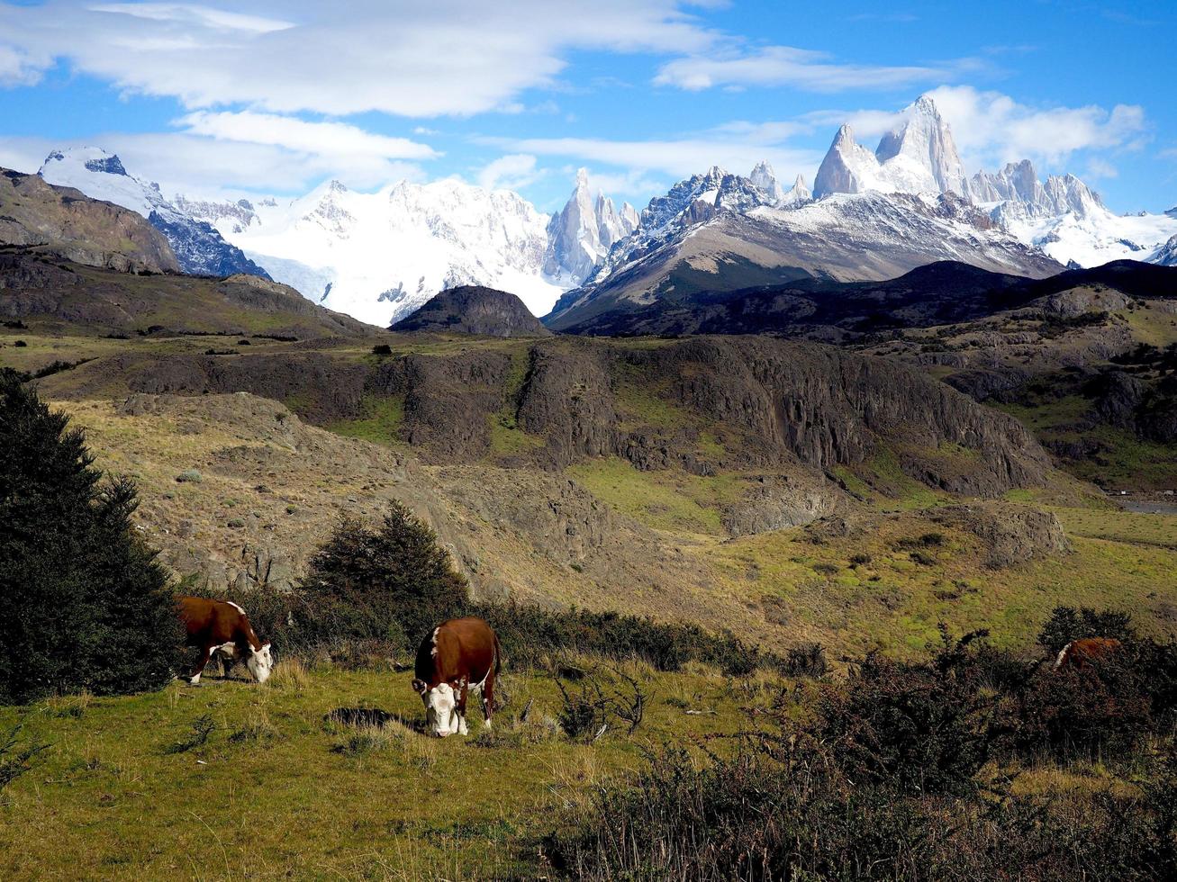 el castigar Fitz Roy foto