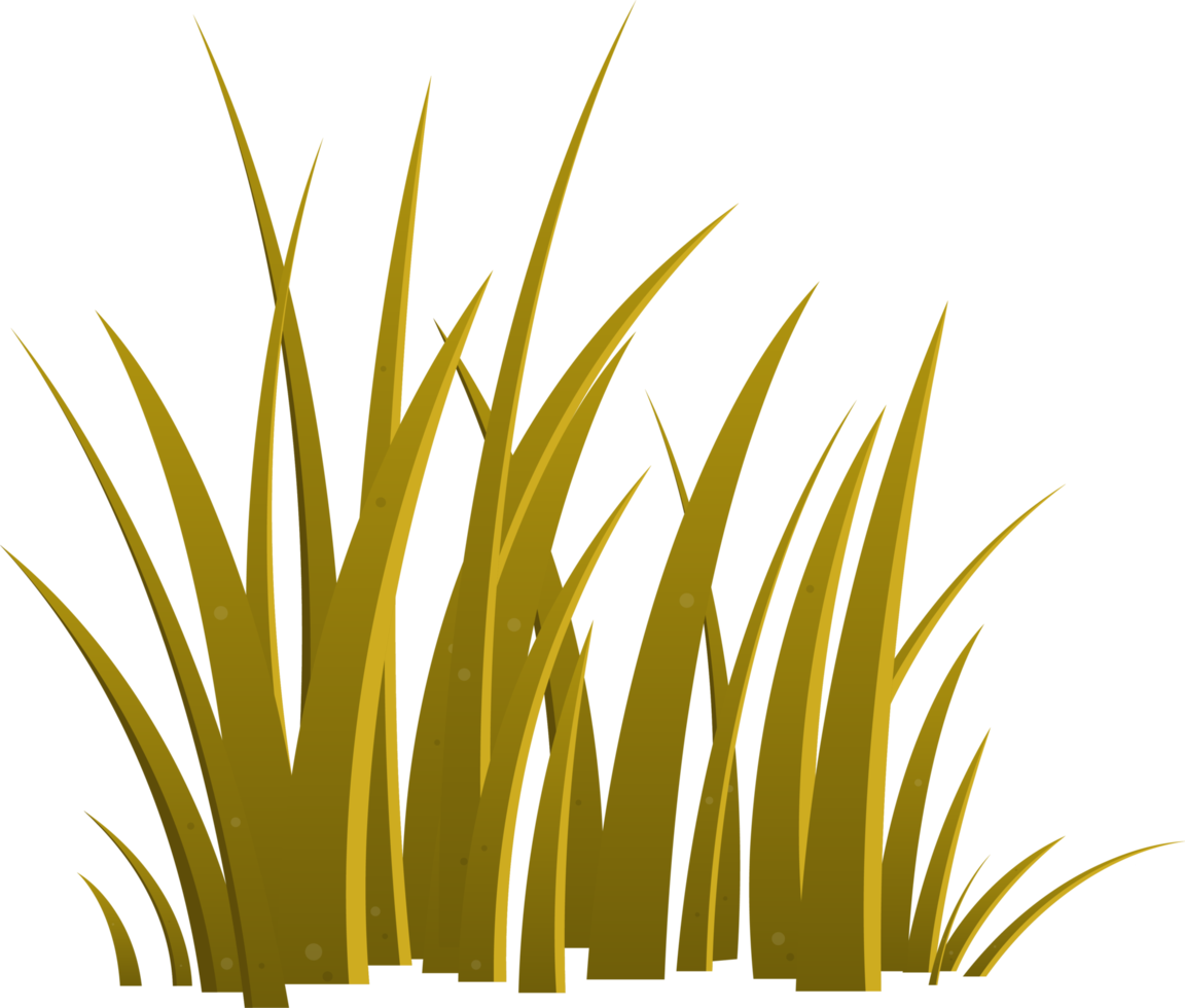 Cartoon grass leaves clip art png