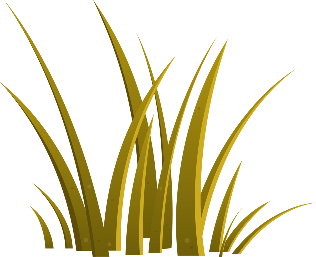 Cartoon grass leaves clip art png