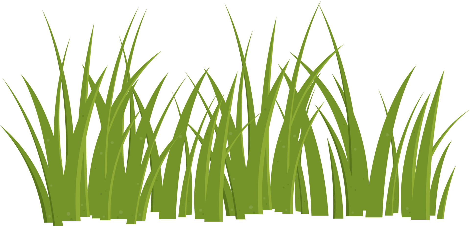 Cartoon grass leaves clip art png