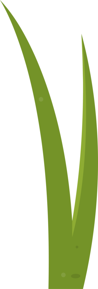 Cartoon grass leaves clip art png