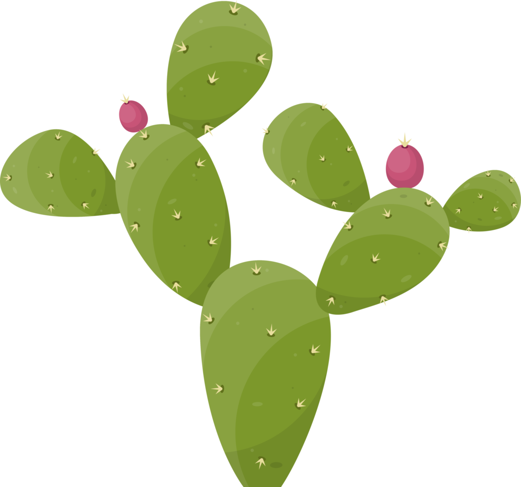 cartone animato deserto cactus pianta png