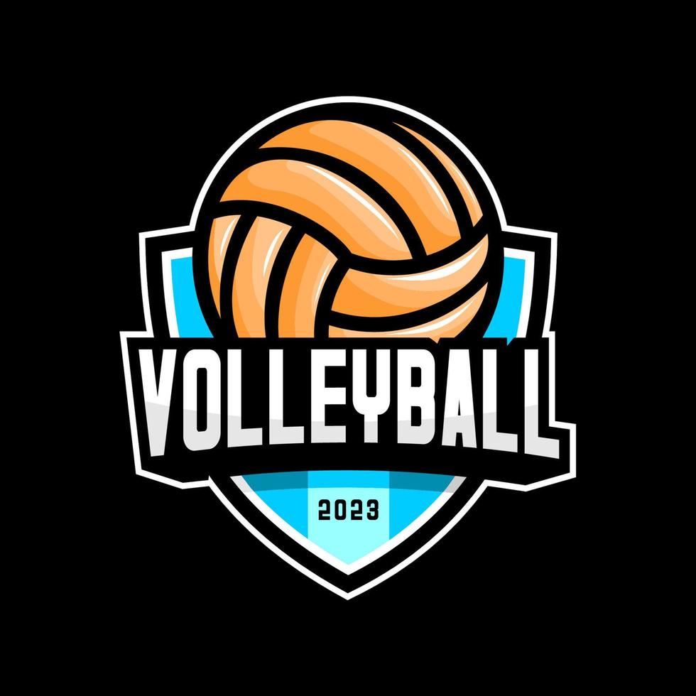 VOLLEYBALLS BALL VECTOR