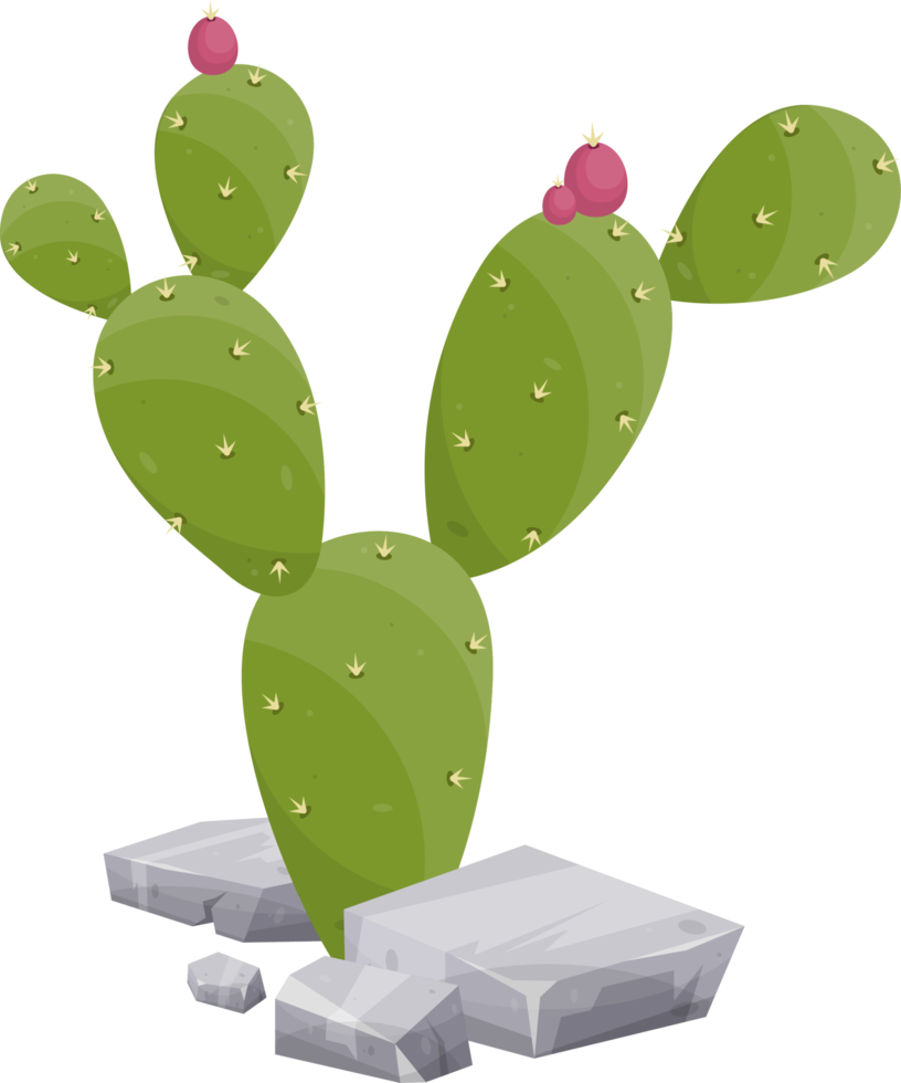 Desert rock with plants png