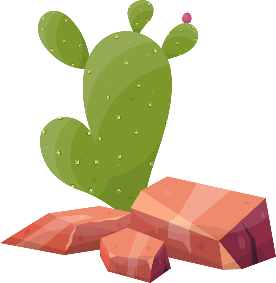 Desert rock with plants png