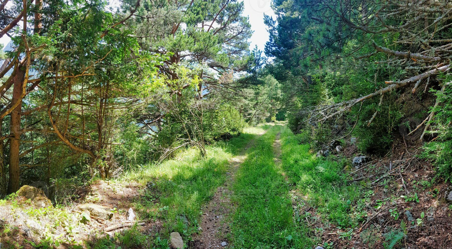 escénico rural paisaje foto