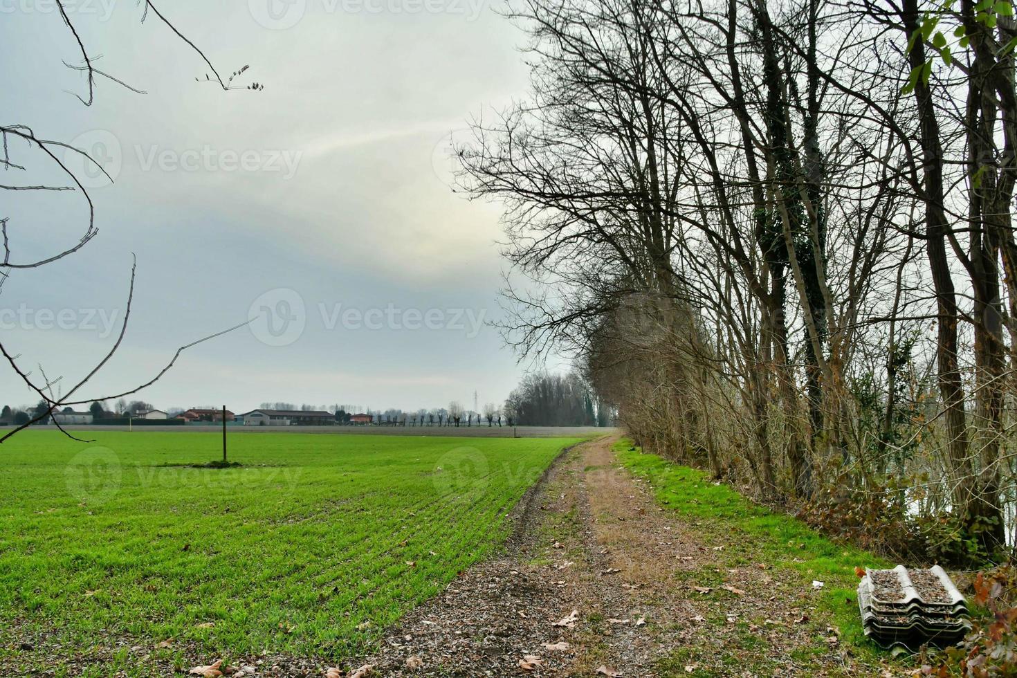 escénico rural paisaje foto