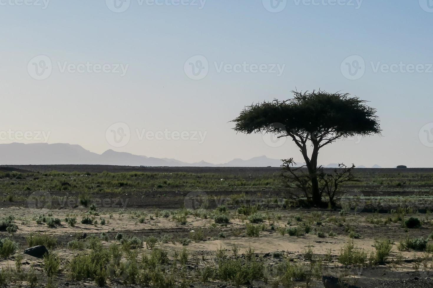 paisaje en marruecos foto