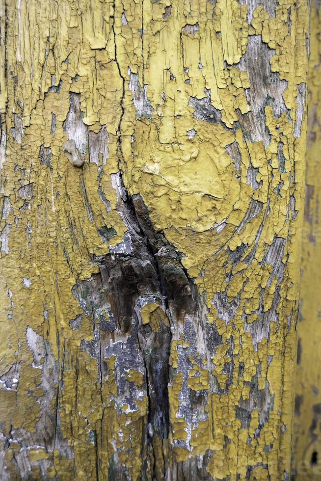 Old painted and peeling wood photo