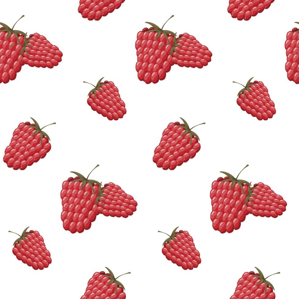 Seamless pattern with ripe red raspberries on white. Pattern, wrapping paper. vector