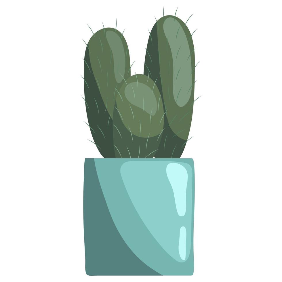 Green succulent cereus in ceramic pot on a white. Peruvian apple cactus, giant club cactus, hedge cactus, dama di anochi, kayush vector