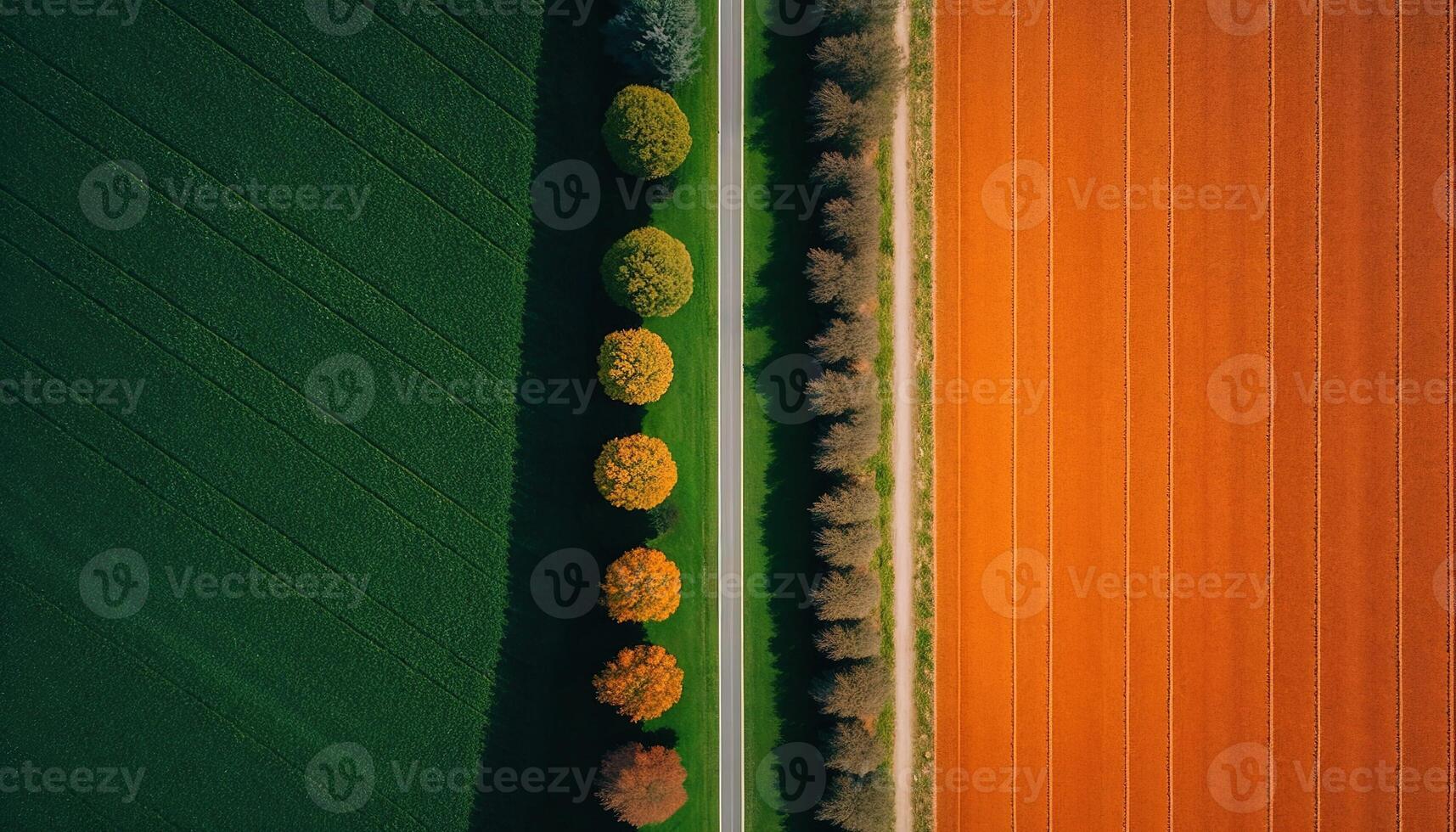 , Farm landscape, agricultural fields, beautiful countryside, country road. Nature Illustration, photorealistic top view drone, horizontal banner. photo