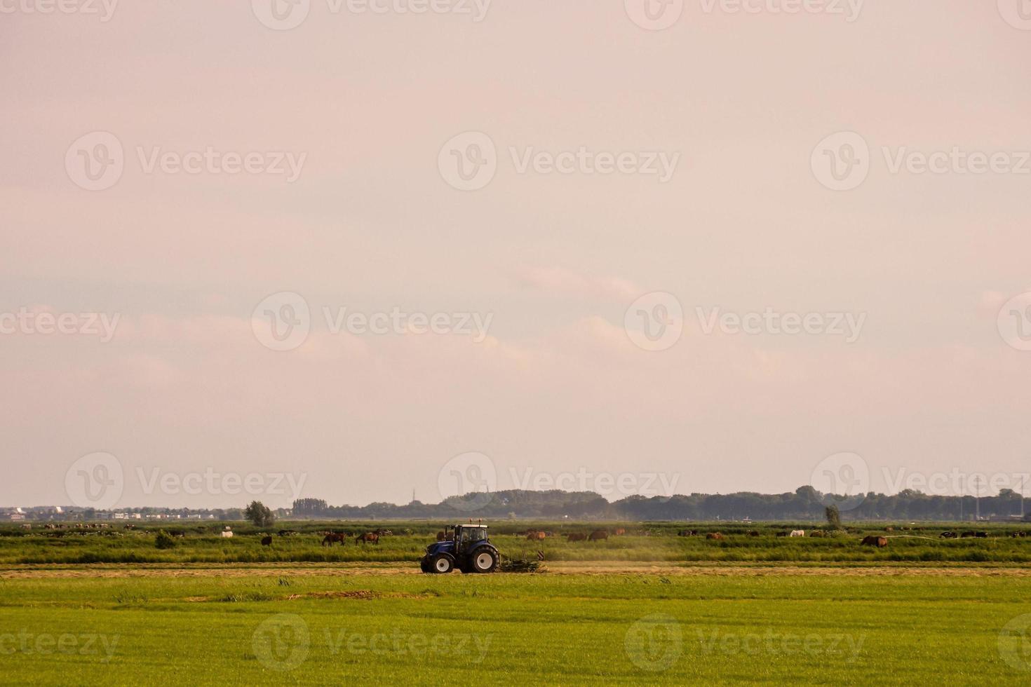 Scenic rural landscape photo
