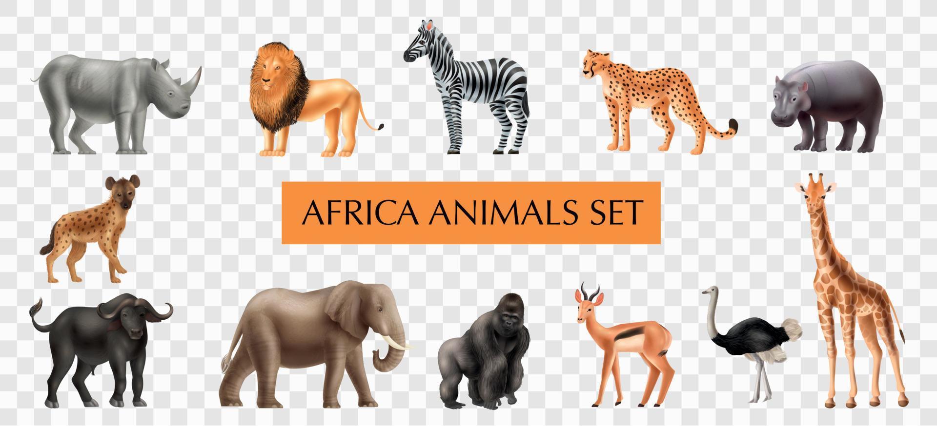 Africa Animals Transparent Set vector