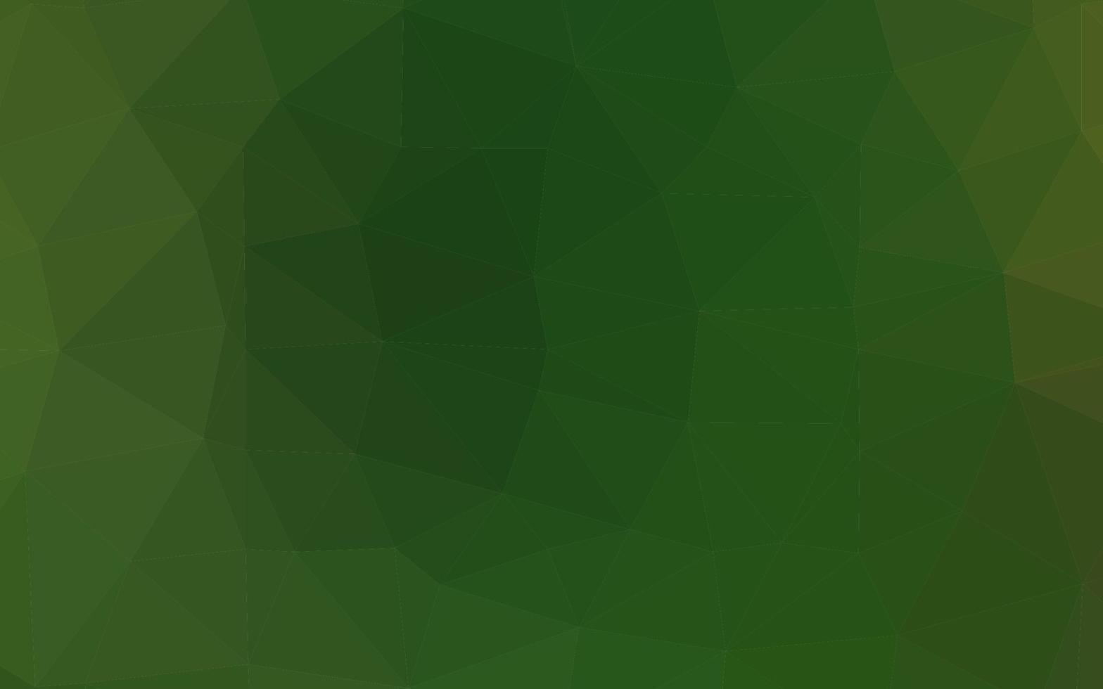 Light Green vector low poly layout.