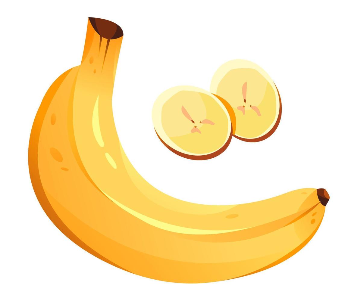 Banana is a tropical fruit. Cartoon vector illustration isolated on a white background.