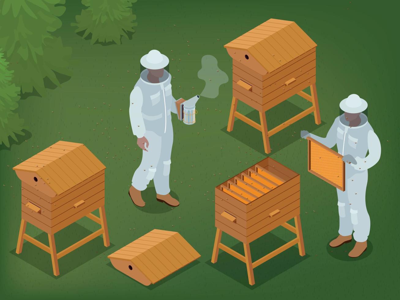 Beekeeping Isometric Background vector