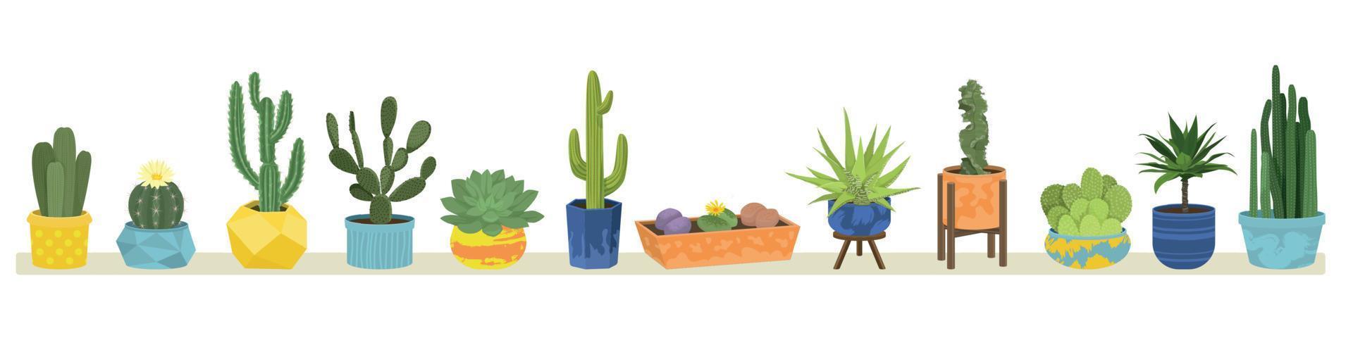 Cactuses Flat Colored Concept vector
