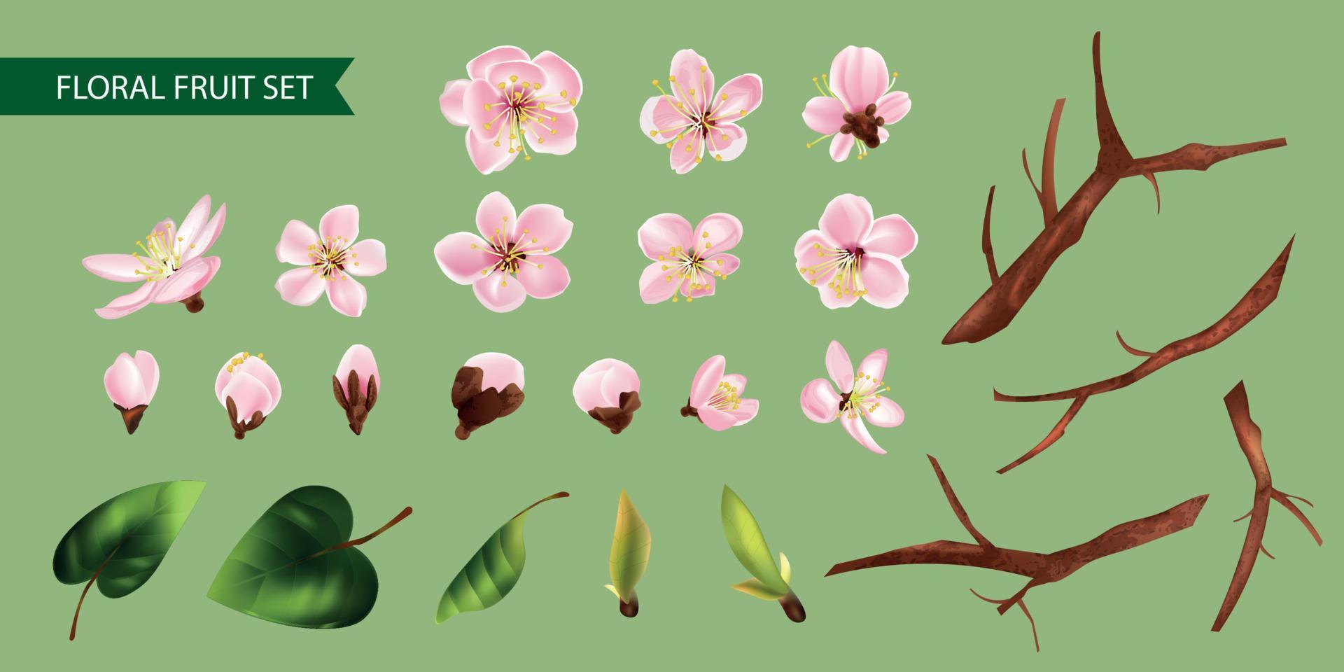 Floral Fruit Set vector