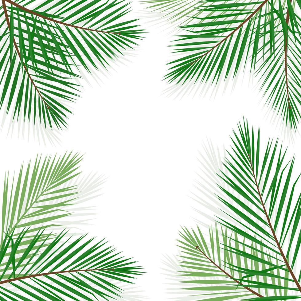 Green Palm leaf vector background illustration.