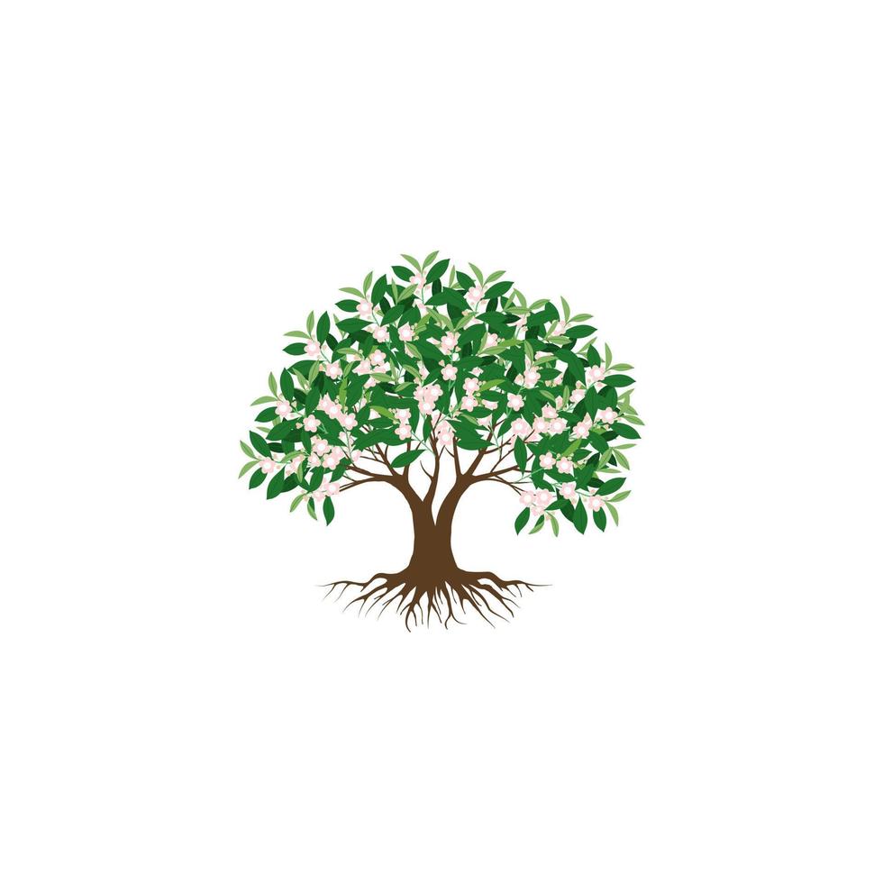 Tree Flower and roots with green leaves look beautiful and refreshing. Tree and roots LOGO style. Welcome to Spring season. vector