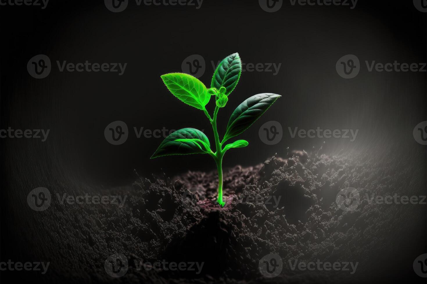 ai generado un joven planta de semillero sólo comenzando a brote resplandor en el oscuro antecedentes. foto