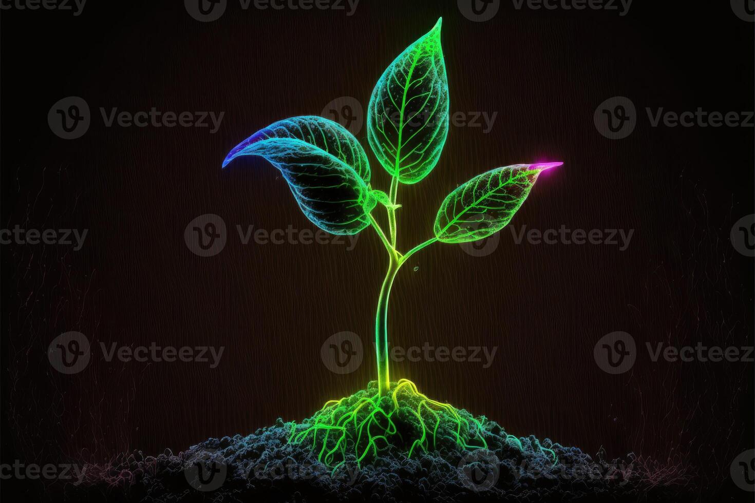 A young seedling just starting to sprout glow in the dark background. photo