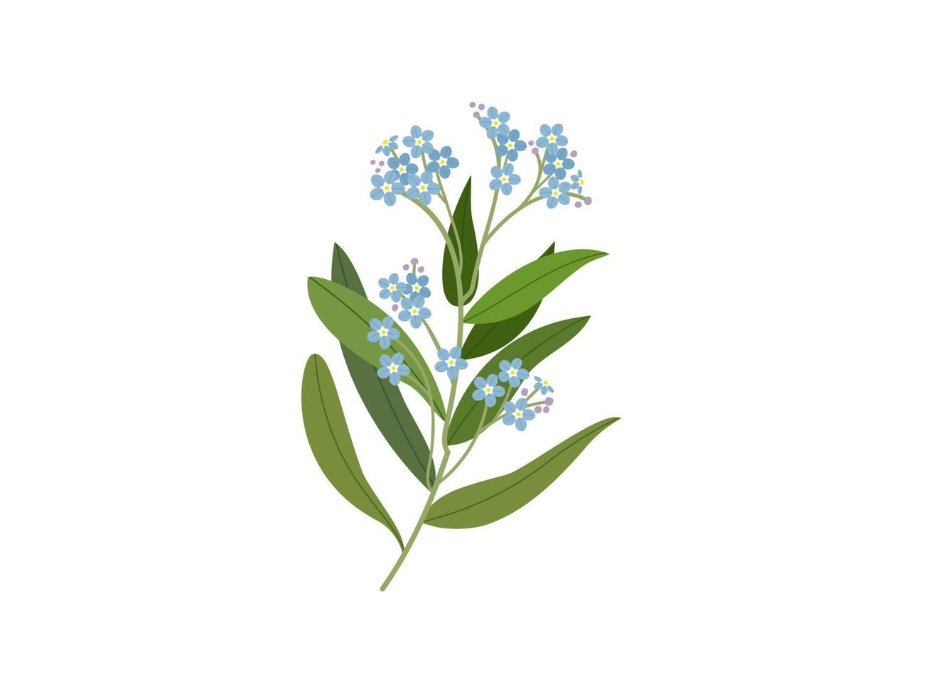 Branches of pastel bluish purple mini flowers. vector